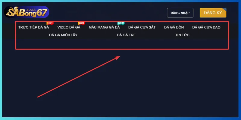 Sabong67 cung cấp đa dạng loại hình đá gà