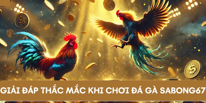 Những câu hỏi thắc mắc từ hội viên khi tham gia chơi đá gà