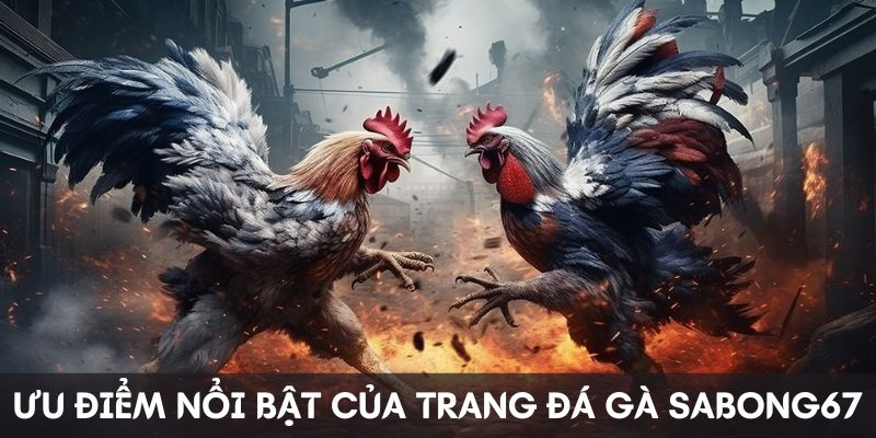 Ưu điểm nổi bật của trang đá gà Sabong67